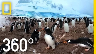 360° Antarctica - Unexpected Snow | National Geographic