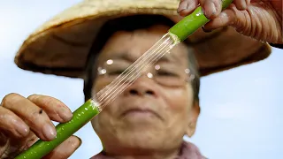 Tricky Process of Harvesting Millions of Costly Lotus Silk Threads