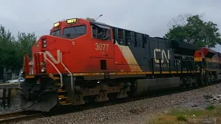 (TIER 4 CN) Trenes KCSM BNSF CN en Linda vista //CN 3077 // BNSF H2 // @Chilakil-rk2iu