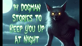 14 Dogman Stories to Keep You Up At Night