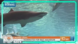 USA Today nominates Florida Aquarium as one of the best in the U.S.
