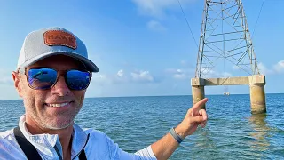 These Power Lines LOADED With Fish!!