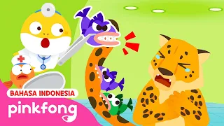 Roar! Teman Predator Menakutkan | Kartun Anak | Main Rumah Sakit | Baby Shark Indonesia