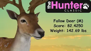 The Hunter Classic | Male Fallow Deer Gameplay | Score 82.4250