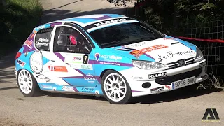 Alvaro Iglesias - Eva Bernardos | Rallysprint de Obregón 2023 | Peugeot 206