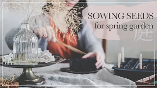 sowing VEGETABLE SEEDS for spring garden | slow living silent vlog | how Japanese sow broad beans