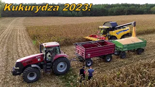 Zaczynamy Drugie Żniwa! Koszenie Kukurydzy 2023 - Nic Na Tych Polach Miało Nie Urosnąć