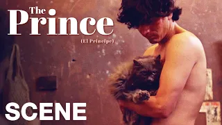 THE PRINCE - A Boy and his Cat