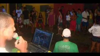 Whining Skills Remix feat. DJ Negão (Guerrero Riddim) 2011