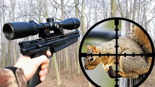 Squirrel Hunting with .177 Pellet Pistol (Scope Cam)