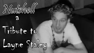 MC-Nutshell-Alice in Chains (Layne Staley Tribute)