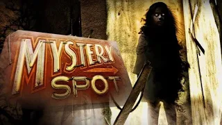 Mystery spot in Santa Cruz, California | Mystery Spot exposed | What is the reality?