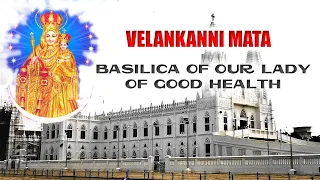 Mata Velankanni Documentary in Hindi  | Basilica of Our Lady of Good Health | PBTV