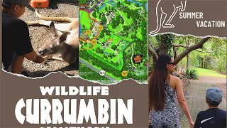 Currumbin Wildlife Sanctuary | Gold Coast, Australia