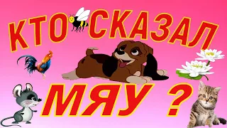 Сказка для детей ."Кто сказал Мяу?"A fairy tale for children ."Who said Meow?"