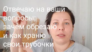 Отвечаю на ваши вопросы