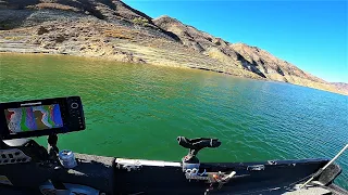 ALL The STRIPERS Were In This Random Spot (Castaic Lake) Striped Bass Fishing