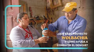 ¿Qué es el proyecto Wolbachia y cómo ayuda a combatir el dengue?