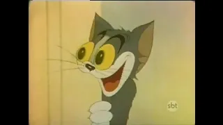 tom e Jerry a gata convencida