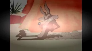 Wile E. Coyote and The Road Runner [episode] 1-10