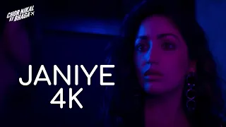 Janiye | Music Video | Chor Nikal Ke Bhaga | Vishal Mishra, Rashmeet Kaur