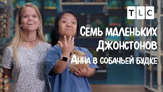 Анна в собачьей будке | 7 маленьких Джонстонов | TLC