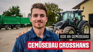 Gemüsebau Großhans | Valtra G135 as all-round tractor | Carrots, onions & radishes on 800 ha