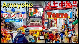 【4K】Tokyo's incredibly popular shopping road Ameyoko, Ueno,rainy day