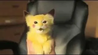 el gato pikachu