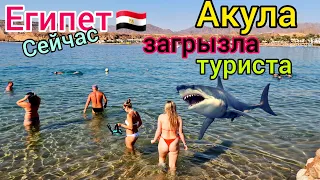 Акула СЪЕЛА туриста в Египте 🇪🇬 УЖАС на курорте Хургада❗️ Как это случилось? Что с АКУЛОЙ? Новости