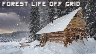 Forest Life Off Grid in a Log Cabin - Very Windy Weather