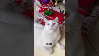 Уже 2 года прошло? Время летит😳🎄