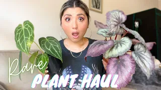 RARE COLLECTIVE PLANT HAUL | PLANT HAUL MARCH 2021