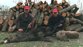 E139Lov na Divlje Svinje i Srndaća piršom - Grofov prvi promašaj/Wildboar and roebuck stalking