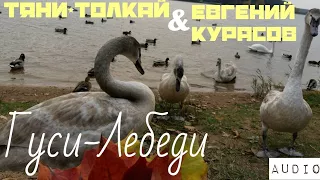 Тяни-Толкай и Е.Курасов-Гуси лебеди(аудио)