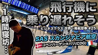 SAS スカンジナビア航空ビジネスクラス搭乗記 世界一周航空券の旅#25