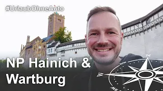 Thüringen Tipps: UNESCO Welterbe Ausflugsziele Wartburg und Nationalpark Hainich