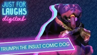 Triumph the Insult Comic Dog - Taking Down Canada