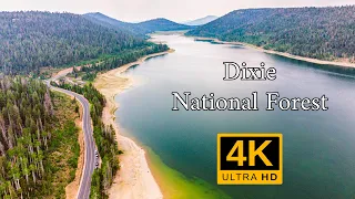 Dixie National Forest 4K UHD (Navajo Lake - Duck Lake)