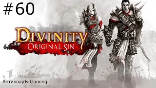 Divinity: Original Sin Enhanced Edition. Прохождение. Серия №60
