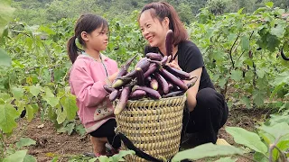 Poorgirl/_Two Sisters Harvest Eggplants to Sell and Cook_ Poor girl