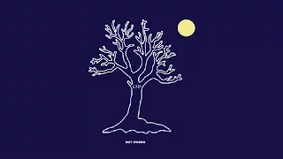 Roy Woods - Drama feat. Drake (Audio) @RoyWoods