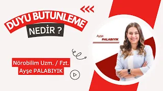 DUYU BÜTÜNLEME NEDİR NE DEĞİLDİR ?