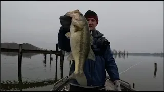 The Fish Were Up Shallow And Firing At This City Lake