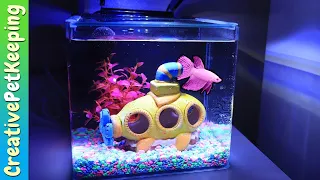 GloFish 3 Gallon Betta Aquarium Kit REVIEW