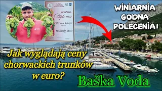 Ile kosztuje chorwackie wino w najlepszej winiarni w Baška Voda Croatia Impreza Brela CHORWACJA 2023