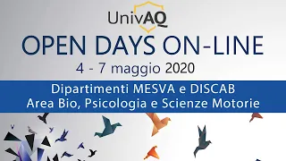 Open Days online MESVA e DISCAB pomeriggio - 07/05/2020