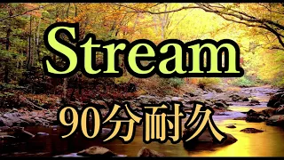 【BGM】Stream【90分耐久】