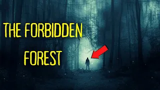 This is why it's ILLEGAL to enter this forest!