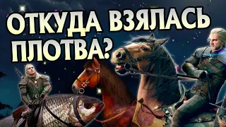 За что Геральт называет всех лошадей Плотва?